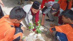 MTS Makrifatul Ilmi Tanam Ratusan Pohon, Jamin Oksigen untuk Masa Depan